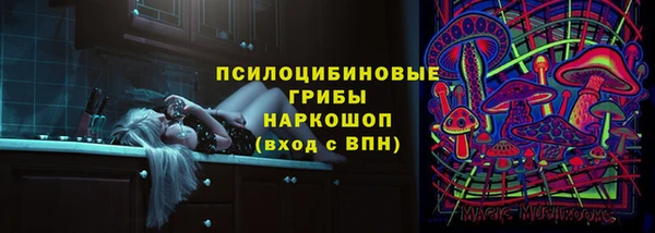 крисы Осинники
