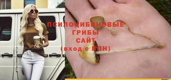 стаф Верея