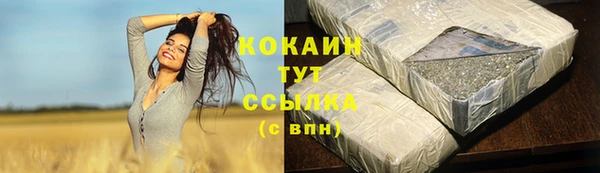 стаф Верея