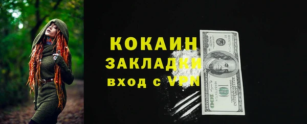 стаф Верея