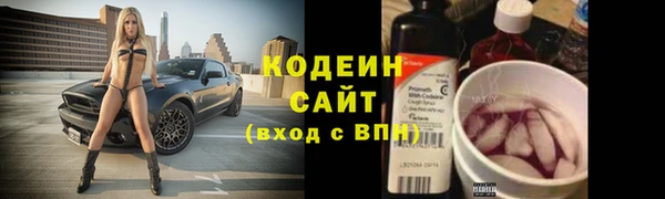 стаф Верея