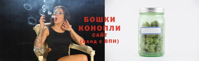 стаф Верея