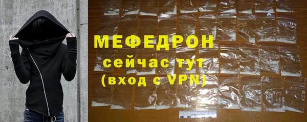стаф Верея