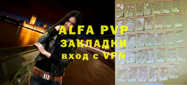 стаф Верея