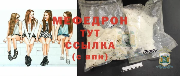 стаф Верея